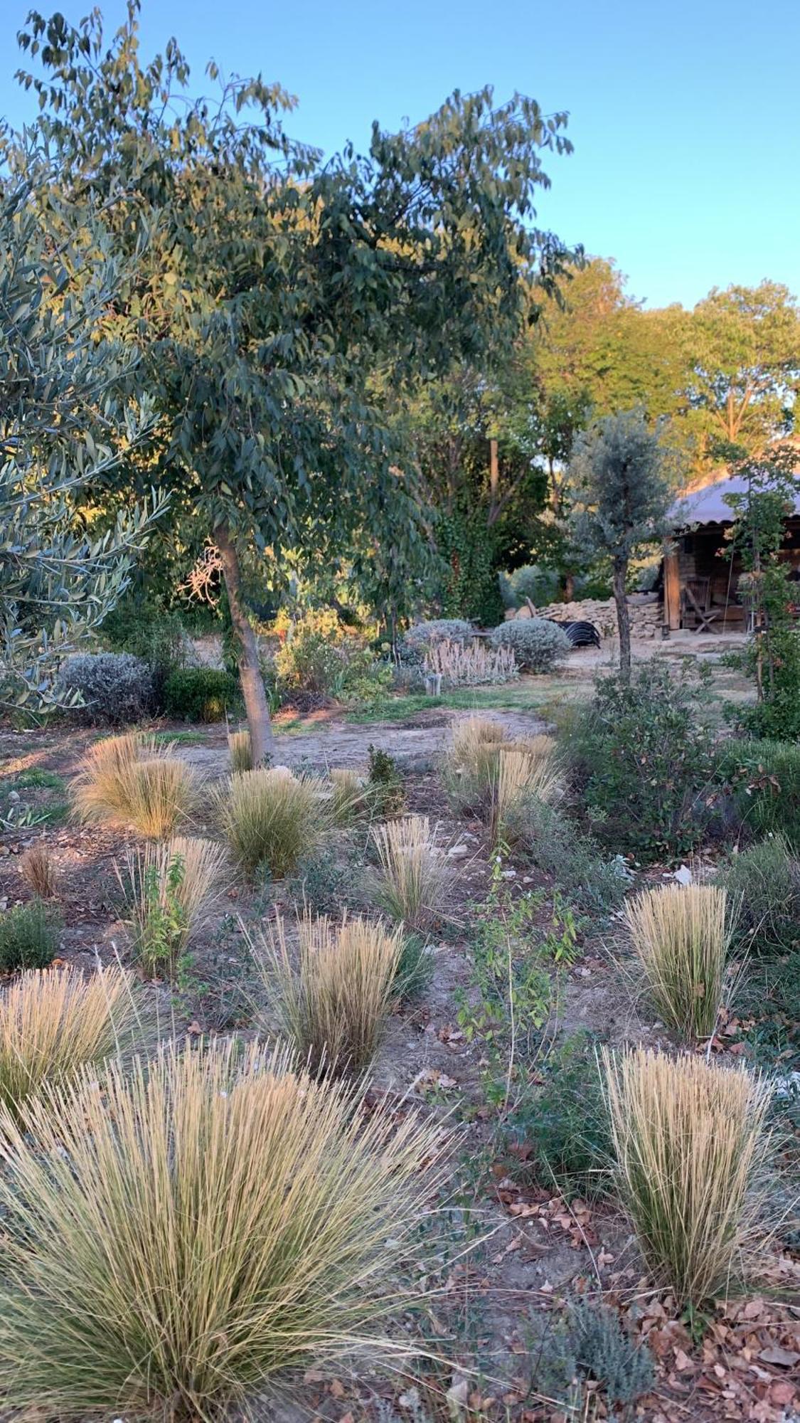 Le Mas Du Lavoir Gordes Εξωτερικό φωτογραφία